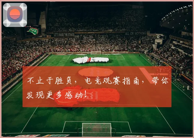 不止于胜负,电竞观赛指南,带你发现更多感动!
