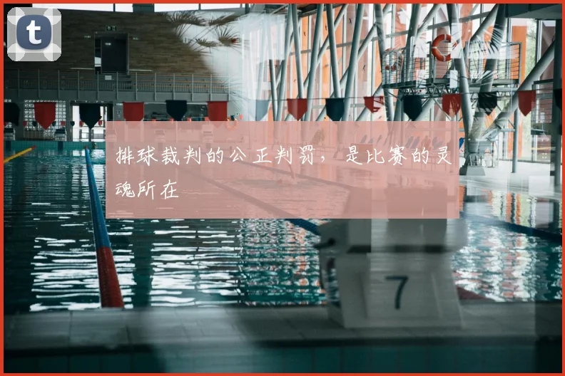 排球裁判的公正判罚,是比赛的灵魂所在